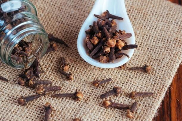 Indonesian-Clove-Bud-001