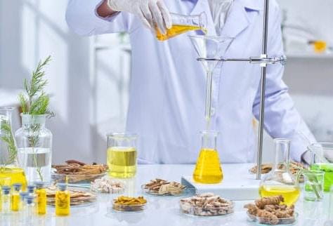 researchers-tested-this-extract-against-fungal-biofilms-in-the-lab-001